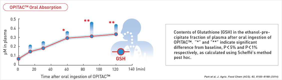 oral-absorption-image